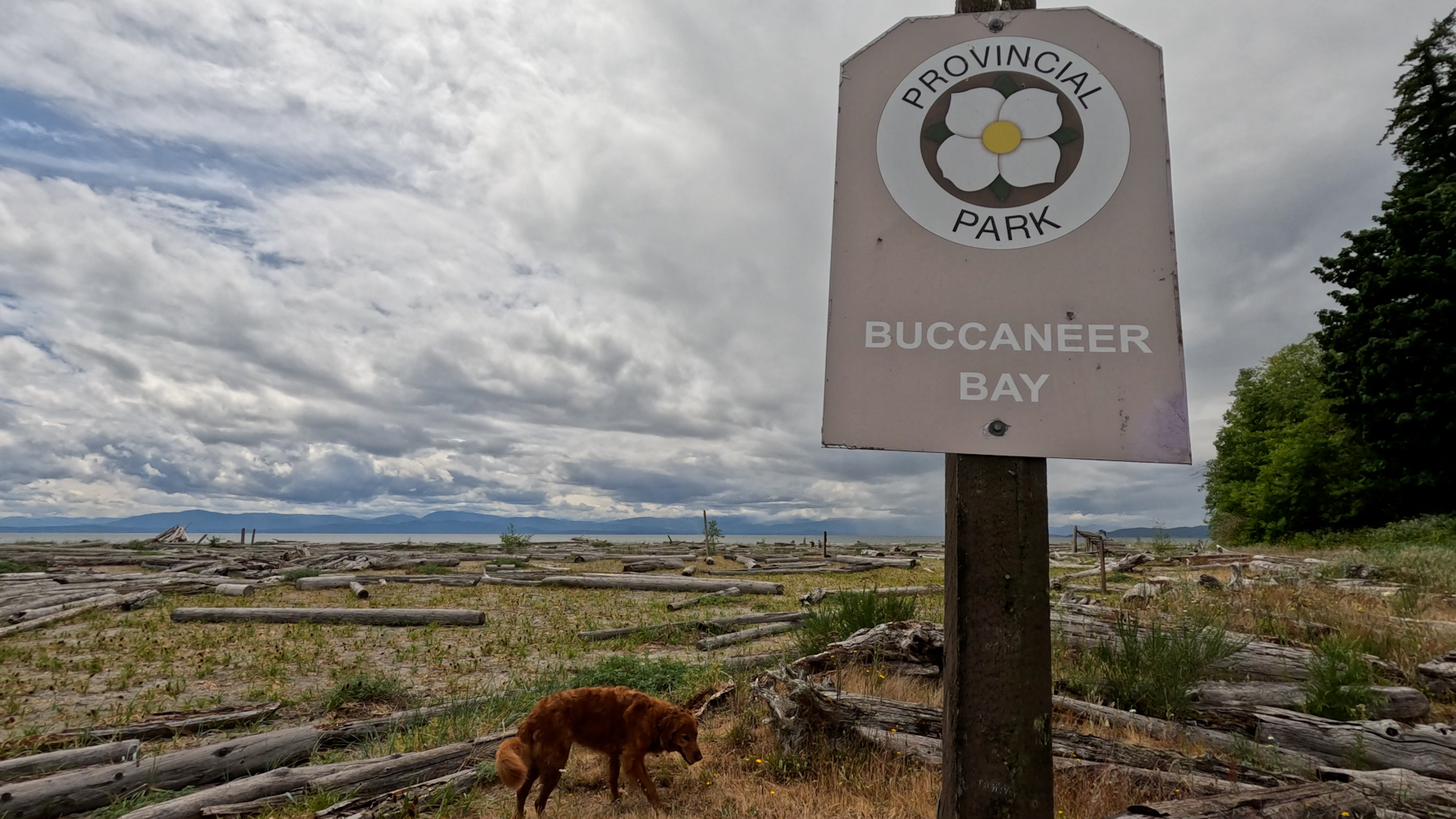 Buccaneer Bay Provincial Park sign with the dogs