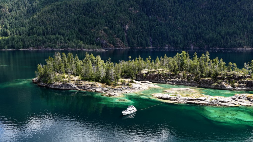 A last look back at Walsh Cove from the air